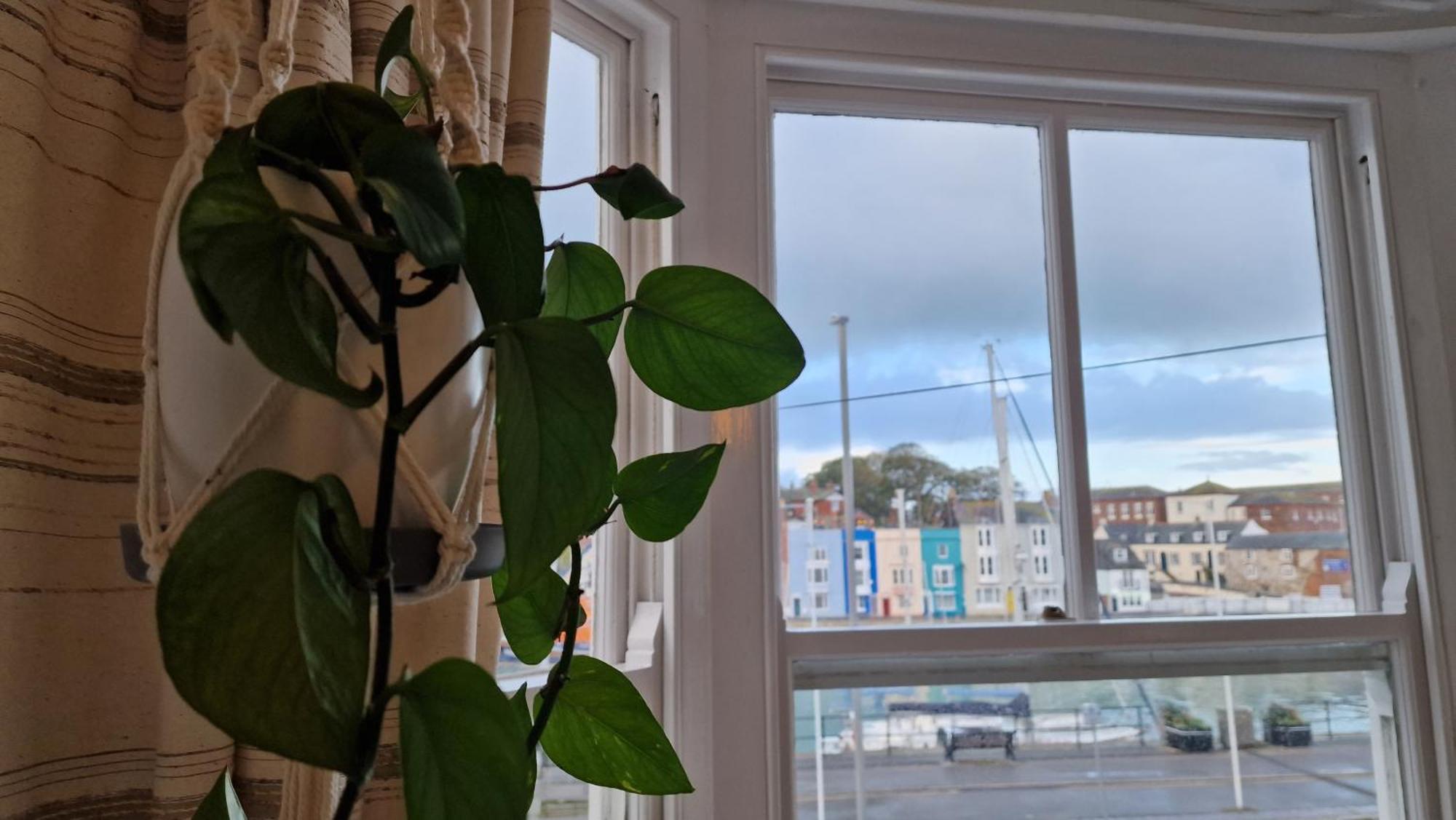 The Ocean Guest House Weymouth Bagian luar foto