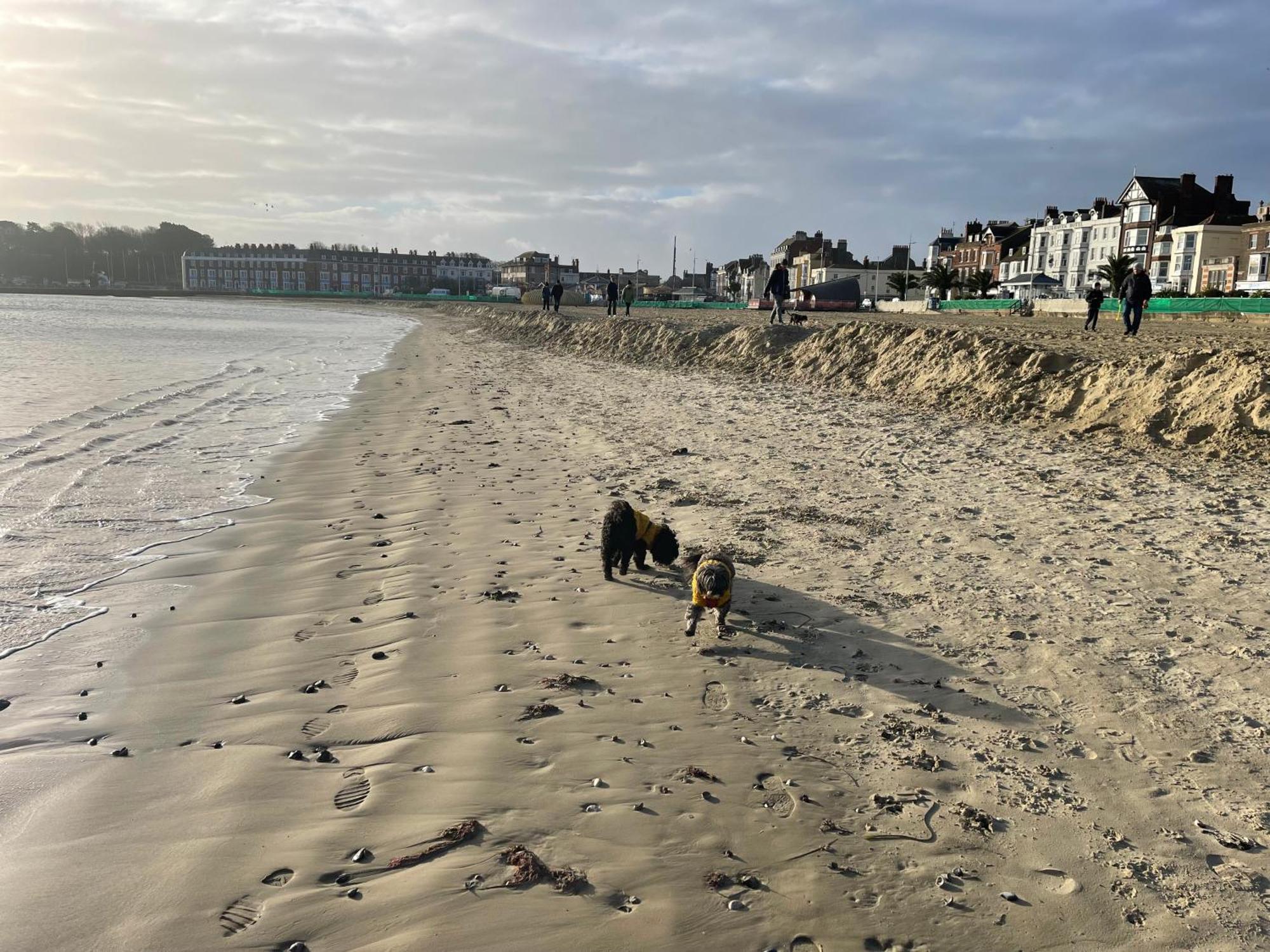 The Ocean Guest House Weymouth Bagian luar foto